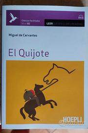 Don Chisciotte romanzo spagnolo in lingua original