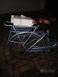 bicicletta elettrica 