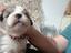 Immagine 2