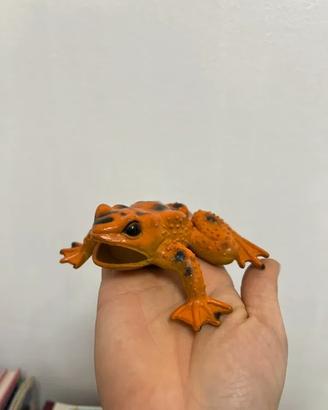 Rana giocattolo realistica in gomma • Modellino de