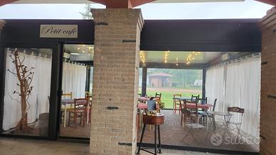 Sedie colorate diverse tipologie