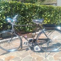 Mosquito su bici ganna