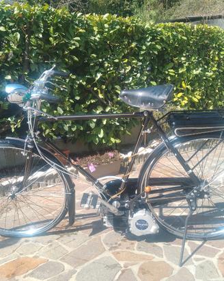 Mosquito su bici ganna