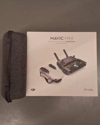 DJI Mavic Mini Flymore Combo Completo