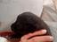 Immagine 5