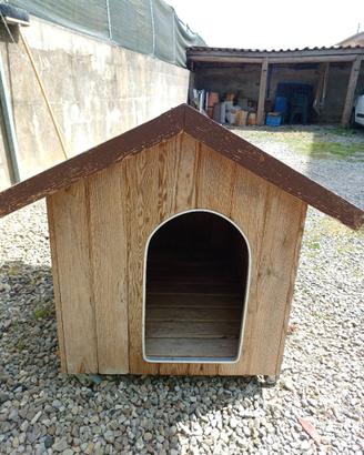 cuccia   per cane
