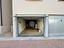 Immagine 29