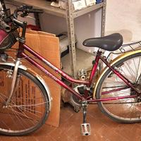 Bici da donna da 26'' con cestino