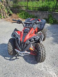 QUAD LEM RENEGADE 125 PRATICAMENTE NUOVO