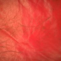 Divani pelle rosso 