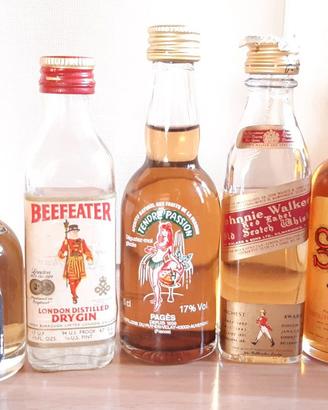 LOTTO 23 BOTTIGLIETTE MIGNON