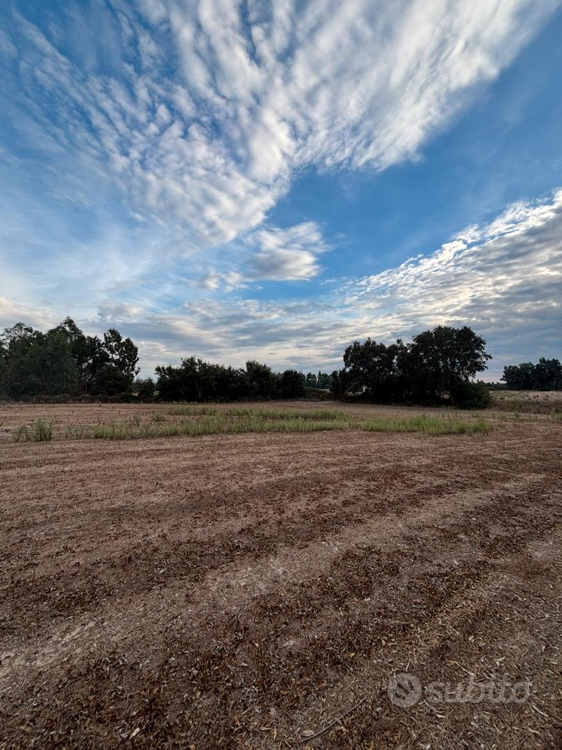 Terreno a Grui Maiori, Arborea - Vista 2