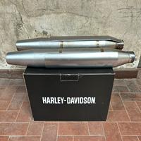 TERMINALI HARLEY DAVIDSON FAT BOY SPECIAL - 2015