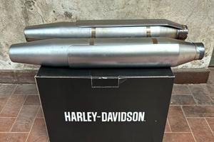 TERMINALI HARLEY DAVIDSON FAT BOY SPECIAL - 2015