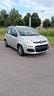 fiat-panda-1-2-young