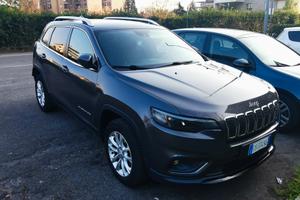 JEEP Cherokee 2.2 4wd - euro 6 d-temp