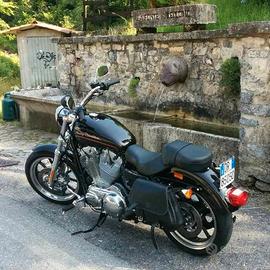 harley divisione 883