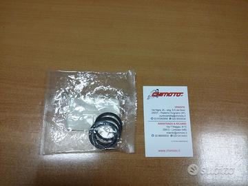 T2020505 Kit Revisione Pinza Triumph 2 Pistoncini