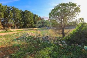 Terreno Edificabile - Siracusa