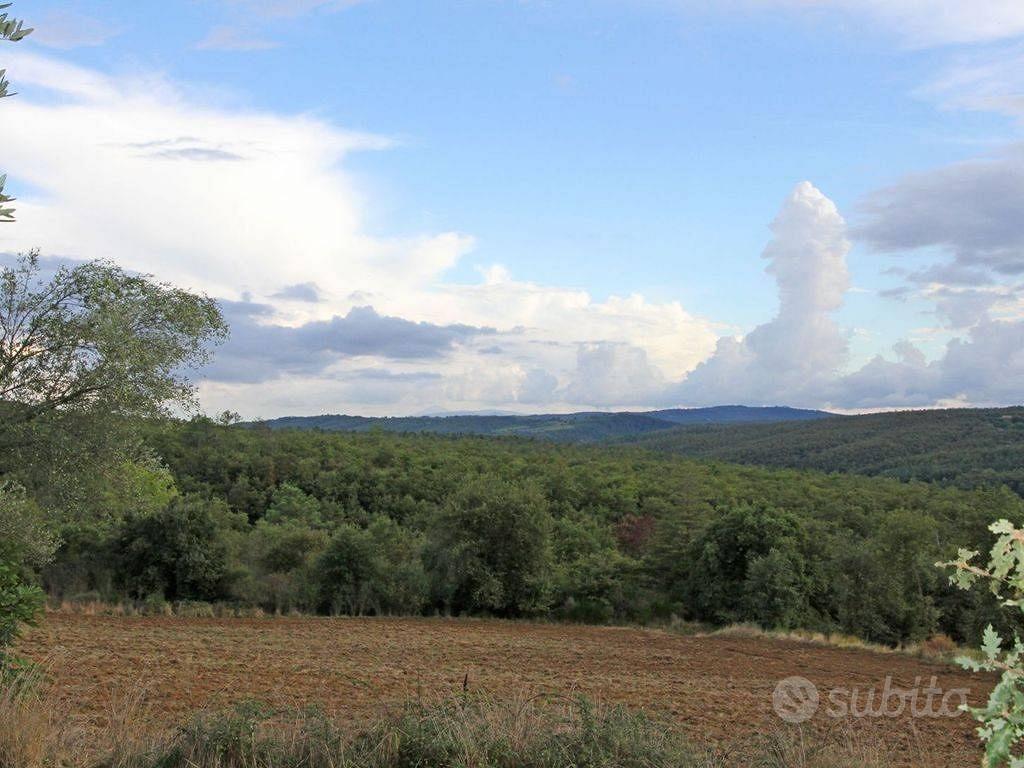 Rustico / Casale di 460 m² con 5 locali e box auto - Vista 4
