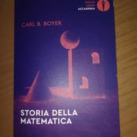 Saggio "Storia della Matematica"