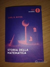 Saggio "Storia della Matematica"