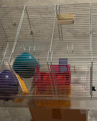 Gabbia per criceti con accessori