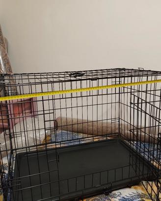 Trasportino per cani di medio piccola taglia