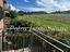 Immagine 14