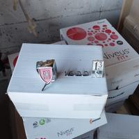 Stemmi fregi auto vintage Fiat lancia