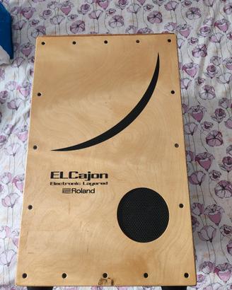 Roland EC-10 EL