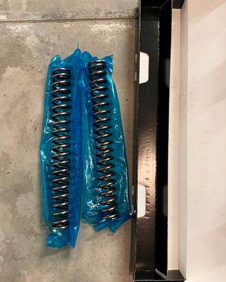 Molle sospensioni Showa originali Ducati 1098 1198