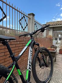 Bicicletta Patwin 2380LT12