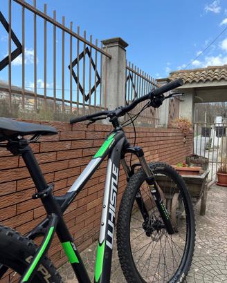 Bicicletta Patwin 2380LT12