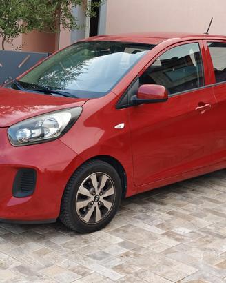 Kia Picanto benzina gpl  5 porte neopatentati