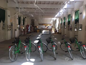 Bicicletta