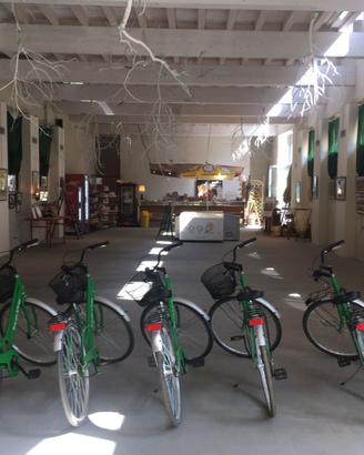 Bicicletta