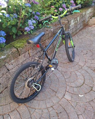 bicicletta bambino 20