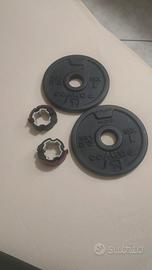 coppia disco ghisa da 1 kg 28  piu coppia anelli 