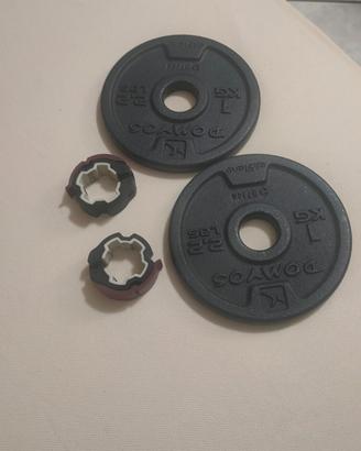 coppia disco ghisa da 1 kg 28  piu coppia anelli 