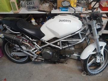 monster  600