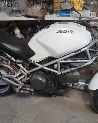 monster  600