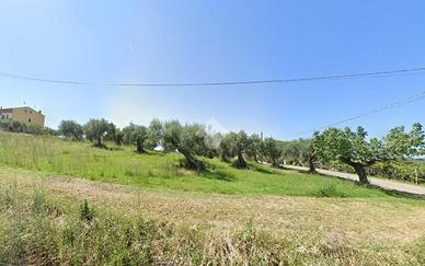 TER. AGRICOLO A MONTENERO DI BISACCIA