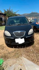 Lancia musa