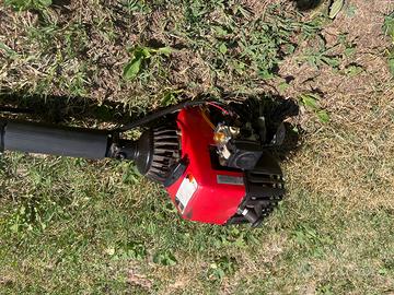 Decespugliatore Efco motore 2 tempi