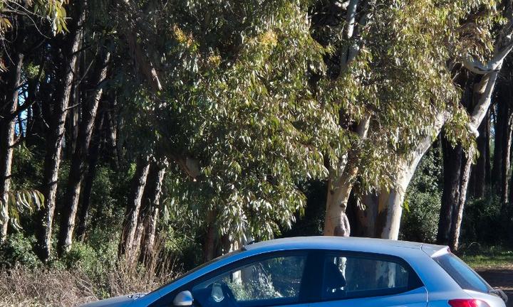 Auto Mazda 2 2008 full optional