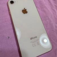 I phone tenuto maniacalmente