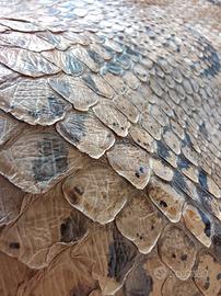 Pelle originale di pitone reticolato  vintage ann