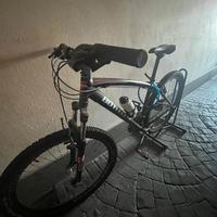 Bici Bottecchia