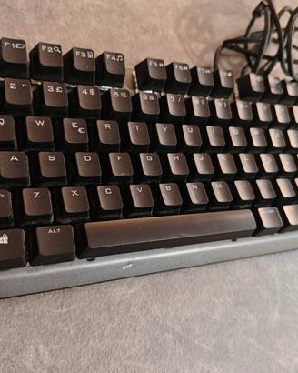 Tastiera e Mouse x Gaming ⌨️🖱️